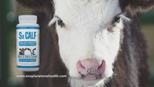 Load and play video in Gallery viewer, Sx Calf Oral Electrolyte

